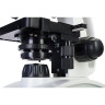 Микроскоп LEVENHUK DISCOVERY ATTO POLAR с книгой 77989